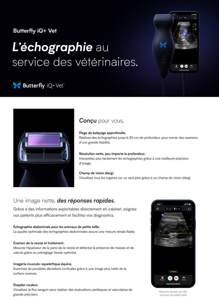Brochure Butterfly iQ+ Vet — échographe portable vétérinaire pour petits et grands animaux